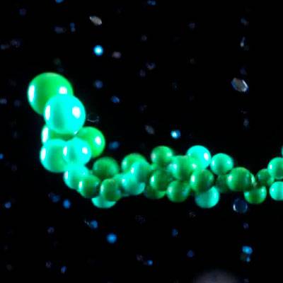 Green 3D molecules on a black background