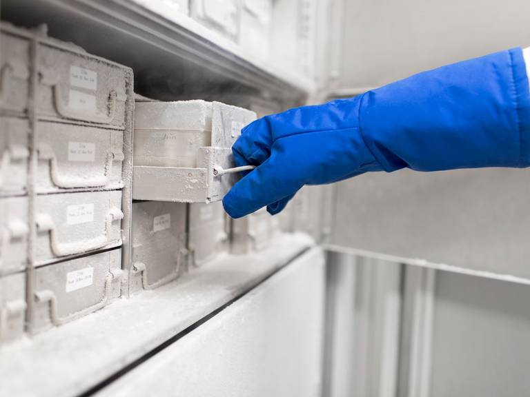 Medical laboratory sample cabinet